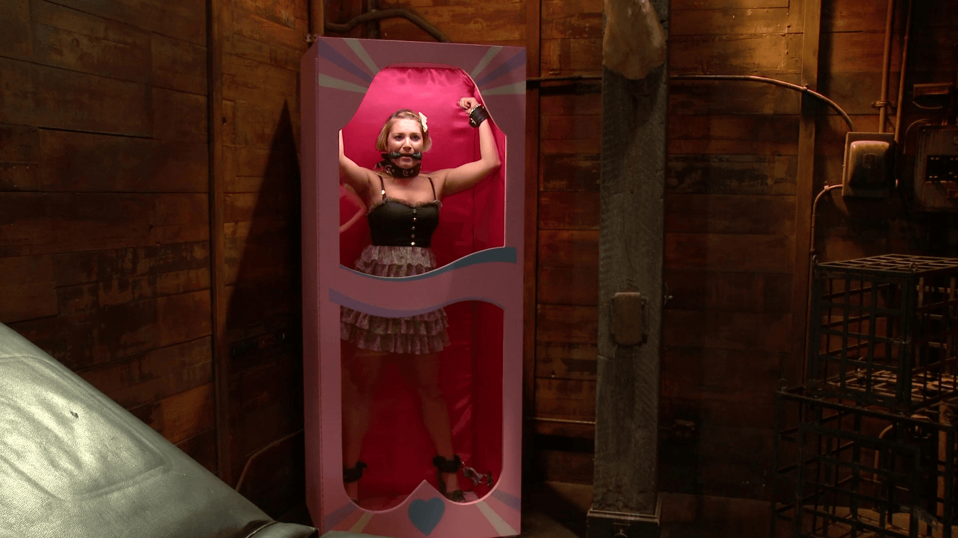 The Dollhouse