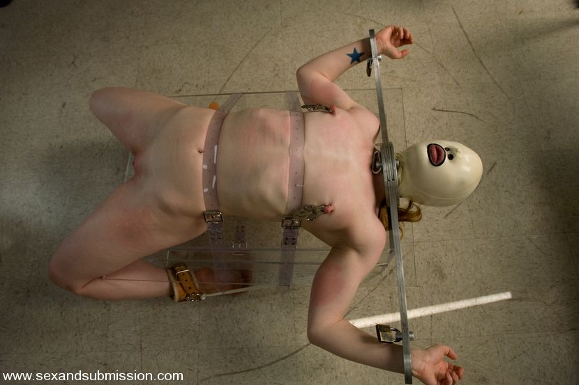 Human Subject Use