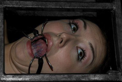 Sister Dee | Kink.com